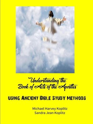 cover image of Understanding Acts